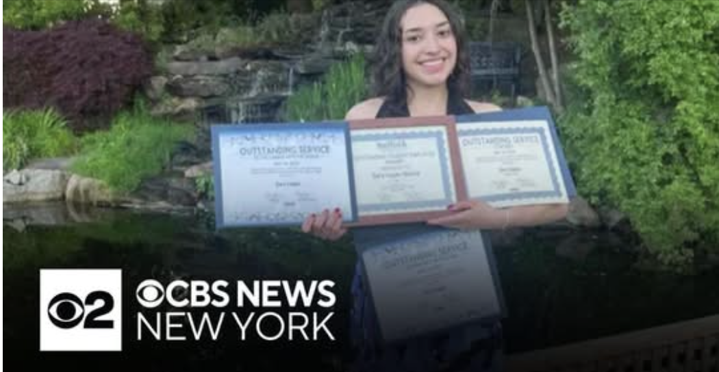 preview image from article metadata