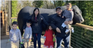 preview image from article metadata