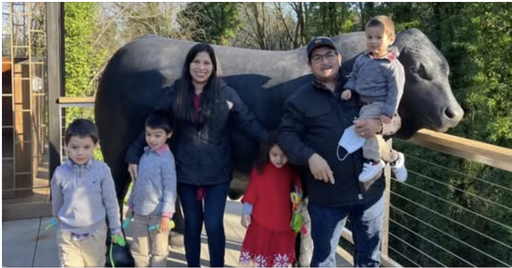 preview image from article metadata