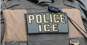 preview image from article metadata