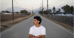 preview image from article metadata